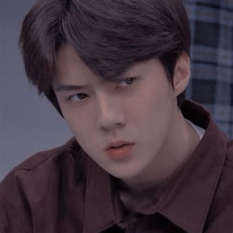 ˏˋ SEHUN ICONOSˎˊ