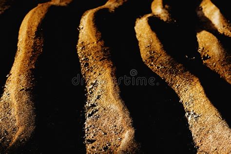Fine Beach Sand In The Summer Sun Stock Image Image Of Simplicity