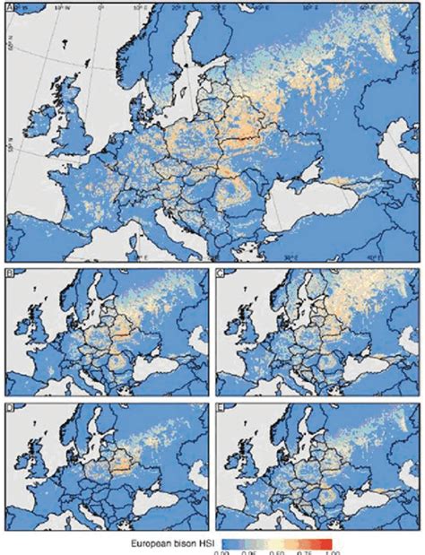 Map predicting potential European bison habitat in Europe 45 ...