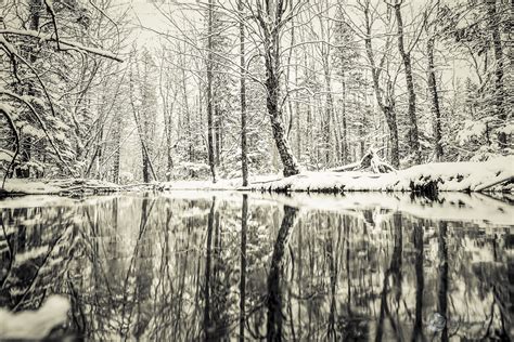 Kris Tynski – Nature Photographer – Winter Lines