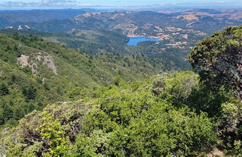 10 Best Waterfall Trails In Mount Tamalpais State Park Alltrails