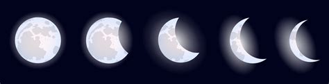 Moon Phases Vector Astrological Illustration For The Lunar Calendar