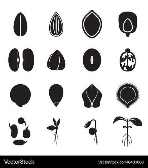 Seed icon set Royalty Free Vector Image - VectorStock