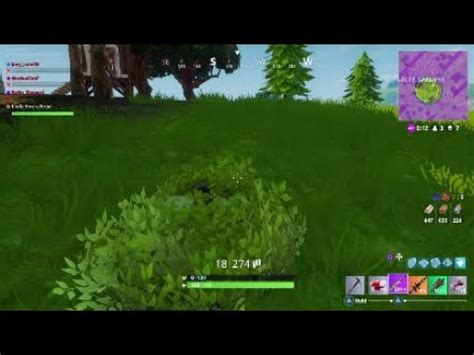 Fortnite Battle Royale Bush Wookie For Life Youtube