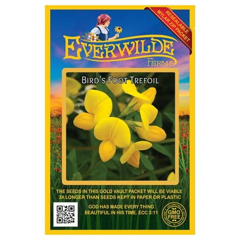 Everwilde Farms 2000 Birds Foot Trefoil Garden Flower Seeds Gold Vault Jumbo Bulk Seed