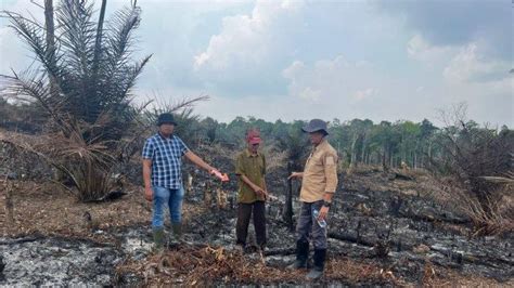 Waspada Karhutla Peningkatan Titik Panas Di Jambi Mulai Terlihat Sejak