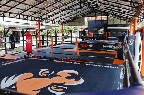 Best Muay Thai Gyms In Thailand Unleash Your Inner Warrior Thai