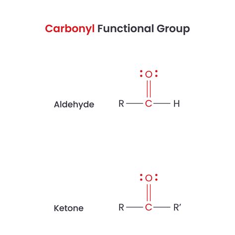 Carbonyl Biochemistry Functional Groups Aldehyde And Ketone Vector Science Infographic 20561304