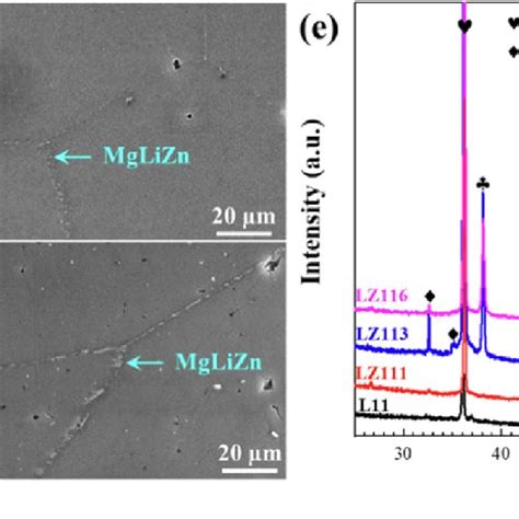 In Situ Sem Observation To Corrosion Morphologies Before And After