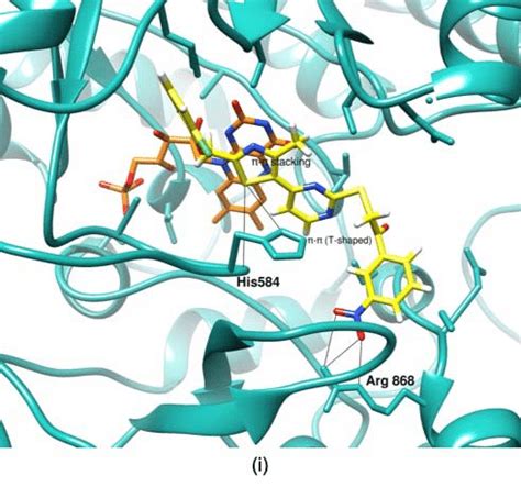 The 3D Interaction Plots For Selected Protein Ligand Complexes A