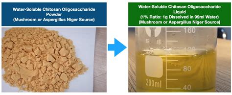 Aspergillus Niger Chitosan Oligosaccharide Vegetal Chitosan Manufacturer