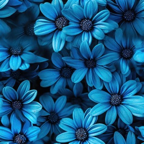 Blue Flower Wallpapers Hd Infoupdate Org