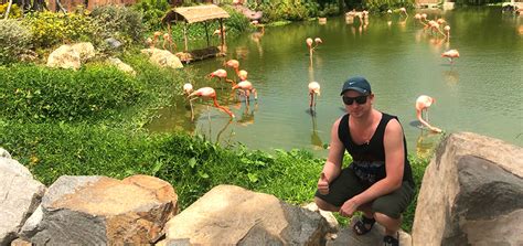 Vinwonder Nam Hoi An 1 Day Tour Private Tour Vm Travel