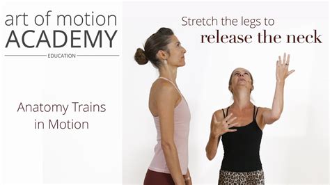 Stretch The Legs To Release The Neck Anatomy Trains In Motion YouTube