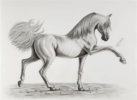 How To Draw A Horse With Pencils Drawing Art Horse Horse Drawings