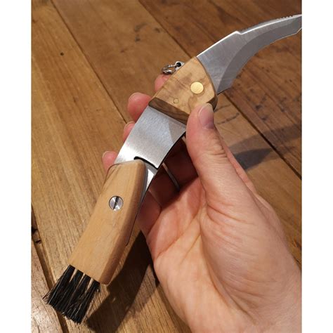 Coltello Tascabile Da Funghi Maserin 808 OL Legno Di Olivo