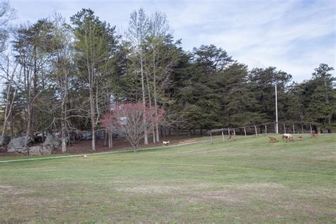 Gallery Page Bear Creek Log Cabins