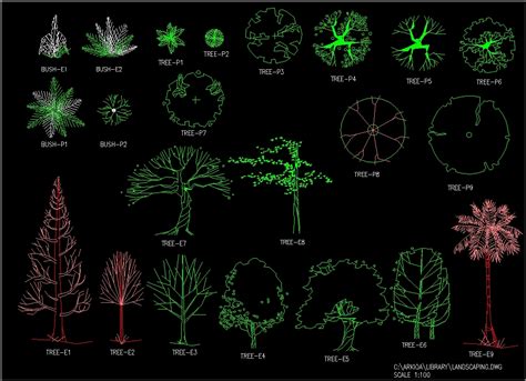 Common 2d Tree Elevation Blocks Cad Drawing Details Dwg File Cadbull Images