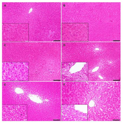 Toxins Special Issue Freshwater Algal Toxins Monitoring And