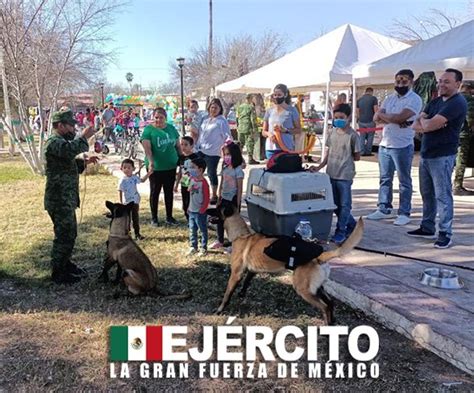 SEDENAmx on Twitter Personal del EjércitoMexicano perteneciente a