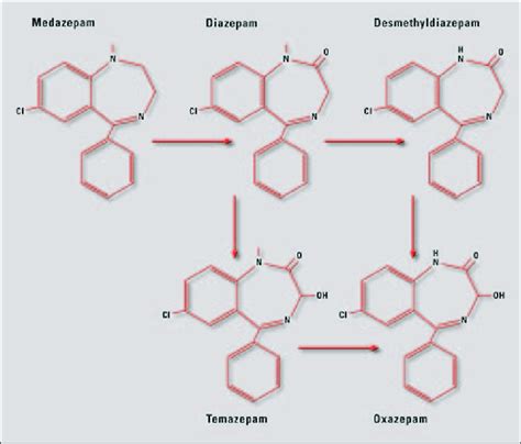 Metabolism Biotransformation Of Several Benzodiazepines Download
