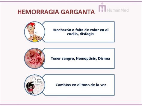 Plan De Cuidados Del Paciente Hemofilico Coordinadora Del