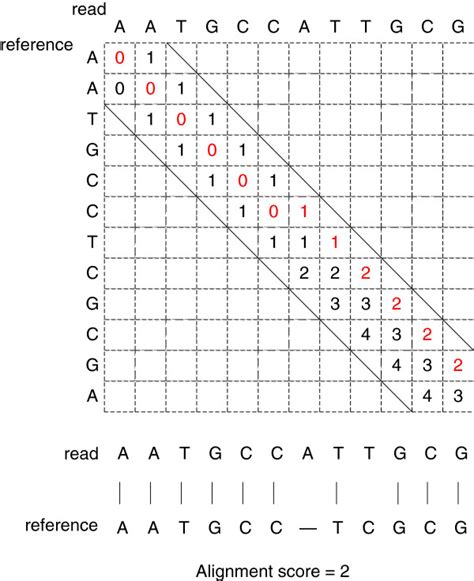 The Conventional Banded Semi Global Alignment Between Two Sequences