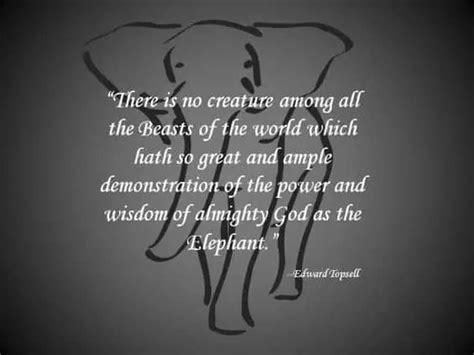 104+ LEGENDARY Elephant Quotes That Make You Think - BayArt