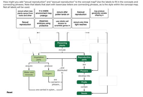 Solved How Might You Add Sexual Reproduction And Asexual