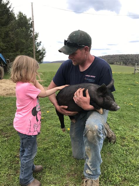 The Piglet Shuffle Drover Hill Farm