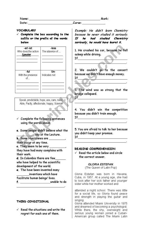 Third Conditional Esl Worksheet By Amazonas