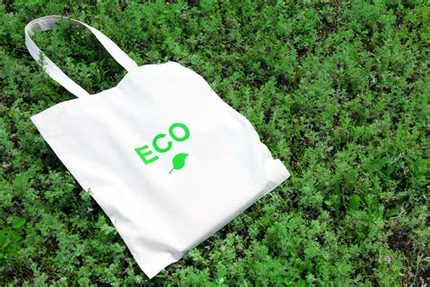 How To Make Eco Friendly Bag At Joshua Mayes Blog