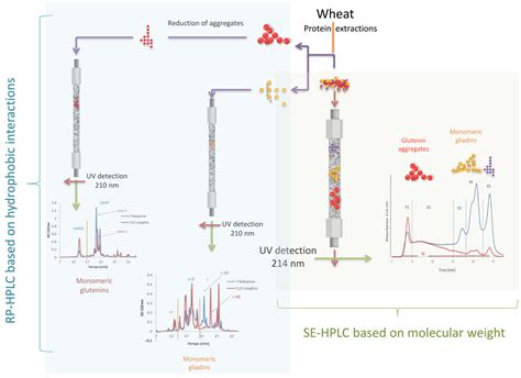 Separations Free Full Text Comparative Characterization Of Grain