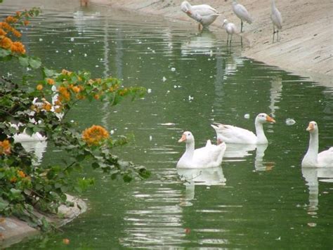 Karachi Zoo Karachi Pakistan - Places to Visit at Hamariweb Travel