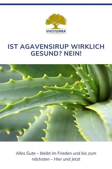 A Brochure With An Image Of A Plant And The Words Ist Agvensrrup