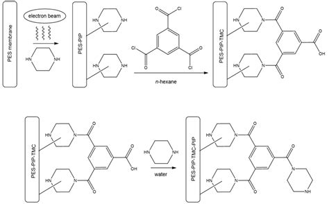 Polymers Free Full Text Reduction Of Biofouling Of A