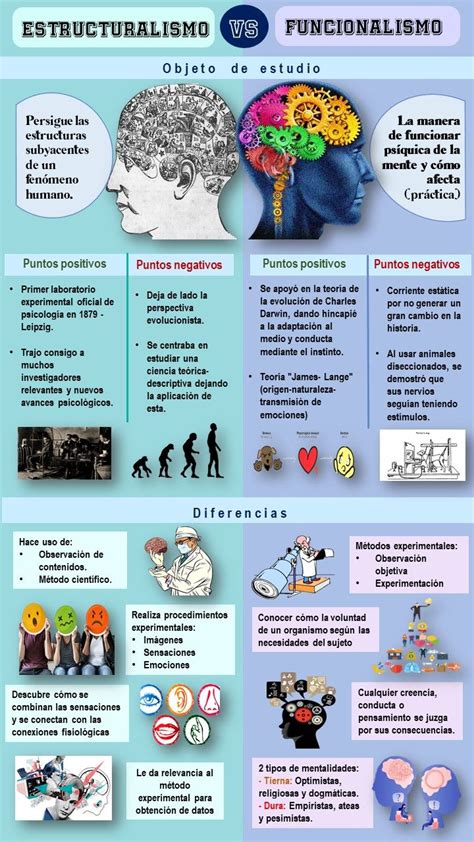 Estructuralismo Vs Funcionalismo Teorias De La Psicologia Imagenes