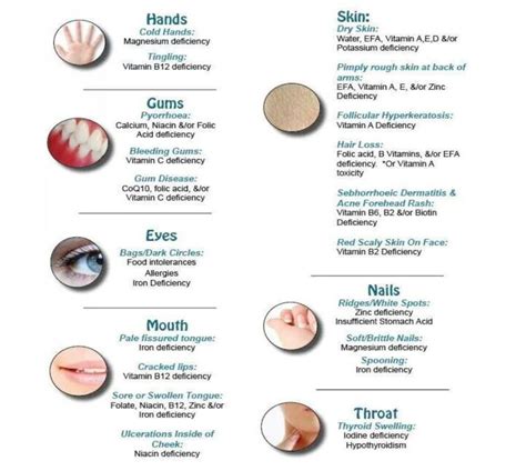 Symptoms Of Vitamin And Mineral Deficiency Cryojuvenate UK