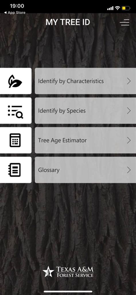 8 Free Tree Identification Apps For Android IOS Freeappsforme