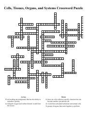 Cells Tissues Organs And Systems Crossword Puzzle To Test Course Hero