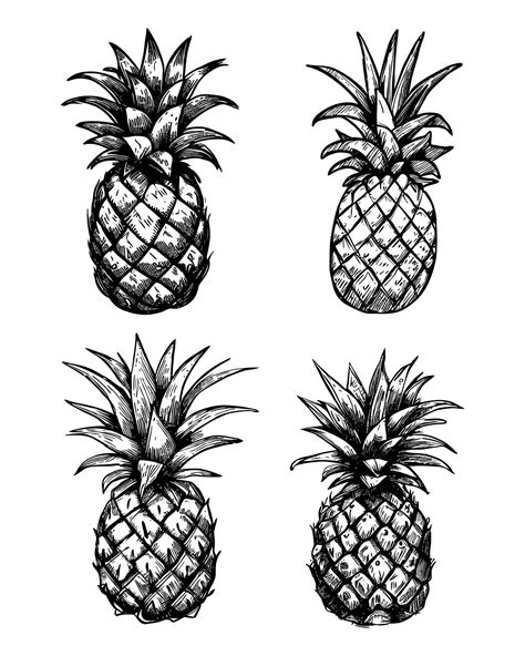 Premium Vector Pineapple Fruit Hand Drawing Style Vector Illustration