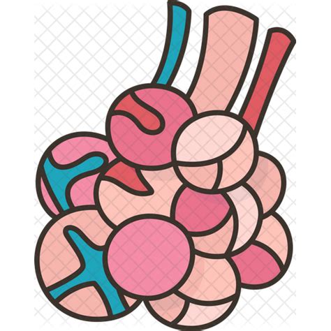 Alveoli Icon Download In Colored Outline Style