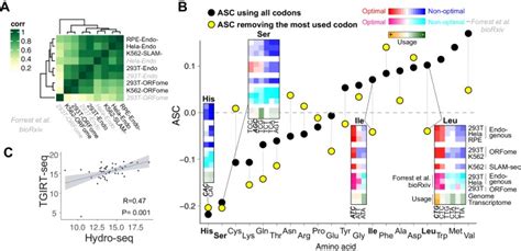 Translation Affects Mrna Stability In A Codon Dependent Manner In Human