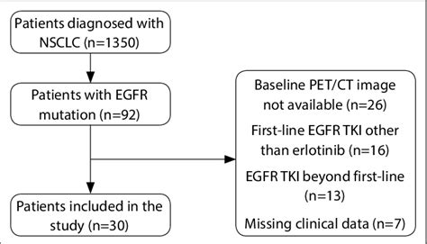 Selection of study patients. NSCLC: Non-small cell lung cancer; EGFR ...