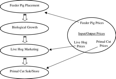 graphical overview   system models  scientific diagram