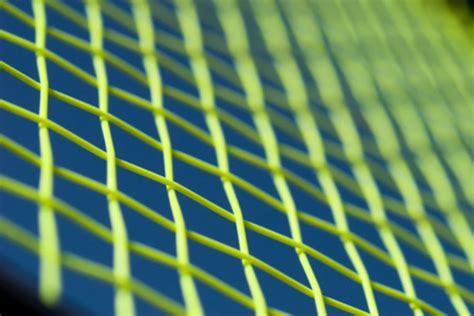 The Best Natural Gut Tennis Strings Of Our Top Picks Tennis