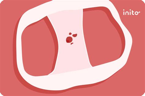 Peeing After Sex Benefits Myths