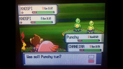 Wshc Shiny Budew After K Re In Pearl Youtube