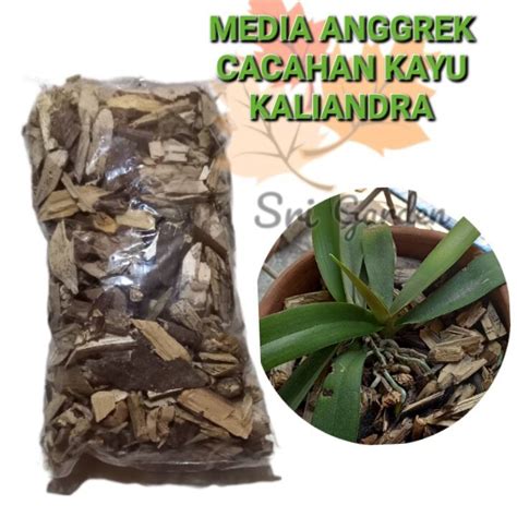 Media Tanam Anggrek Cacahan Kayu Kaliandra Cocok Untuk Anggrek Di Dalam
