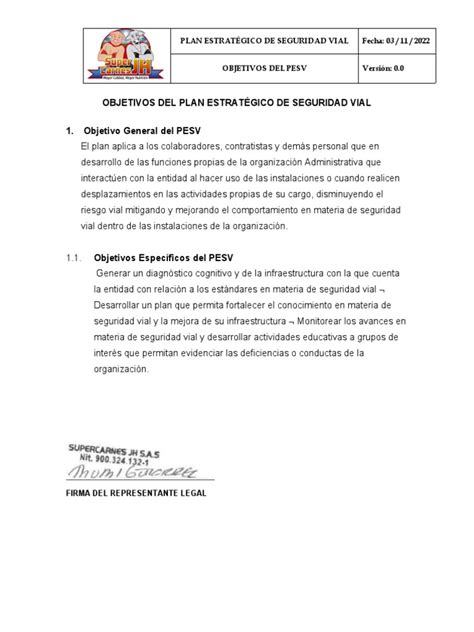 Objetivos Del Pesv Pdf